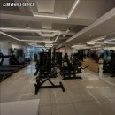 스페셜바디 레이디 이미지