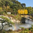 몽환의 세계를 거닐다.....부석사 은행단풍길. 이미지