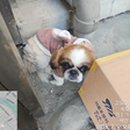 나전로 네이버블로그