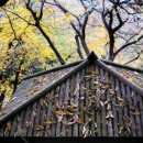 대공원역 2번 출구 앞 이미지