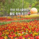 모두온(moduon) | 아산 피나클랜드 튤립축제 후기 주변 식당 할인 꿀팁 총정리