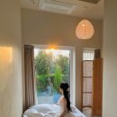 제주보홀 이미지