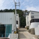 더스터닝 네이버블로그