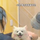 봄나래동물병원 이미지