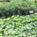 화촌농장 이미지