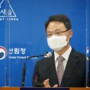 플러스(1196) 이미지