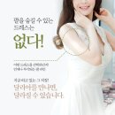 달리아 이미지