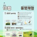 ✨ 아이와 함께하는 특별한 가을 나들이 ✨ 이미지