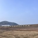 일광2리 이미지