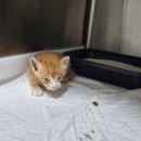 군산시-00813 이미지