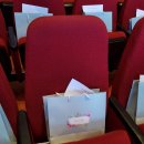 Blossom for you 이미지