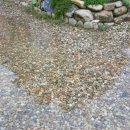 담양라라345 이미지