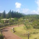 붉은오름자연휴양림 이미지