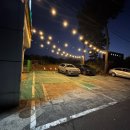 제주명돼지 | 제주시 흑돼지 맛집 제주도남돼지 방문 후기