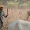 유연농장 이미지
