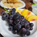 평생 사랑해 줄 개 애견펜션 이미지