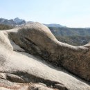 응봉공원2 이미지