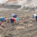 나온 태양광발전소 이미지