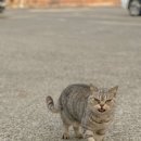 신은하반점