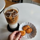 제이드스트릿1137