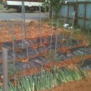 재천농장 이미지