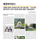 꼬똥사파이어 이미지