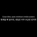 비아이유