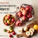 오아시스마켓 이미지
