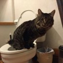 서울항외과의원 이미지