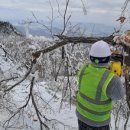 눈길등산로 이미지