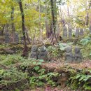 제주돌문화공원 이미지