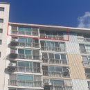 신세대지큐빌 이미지