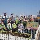 봄뜰에농장 이미지