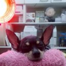 두암한방병원 이미지