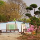 늘푸른농가 Daum카페