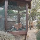 엘리의 정원 이미지