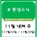 서산센트럴코아루공인중개사사무소 | 분양정보 (11월 넷째 주)