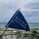 북부대로 | 내돈내산 오키나와 북부투어 '유투어버스 오키나와 일일투어' 솔직후기