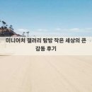 새로운 안경 갤러리 | 미니어처 갤러리 탐방 작은 세상의 큰 감동 후기