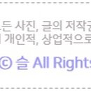 하얀손운동화빨래방 이미지