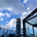 장동축산 | 서울마장동고깃집 축산시장 한우타운숯불구이정육식당 소고기맛집 솔직후기