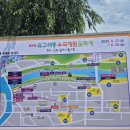 유구중학교 | [공주 가볼만한 곳] 유구색동수국정원 꽃 축제 후기 :)