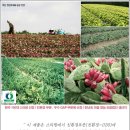 아이팩 이미지