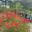 선학역 4번출구 이미지