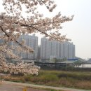 충훈2교 옆 이미지