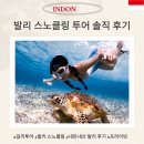 (주)여가투어 | 발리 투어 길리 프라이빗 스노쿨링 투어 돈 안 아까웠던 후기