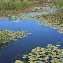 죽동체육공원 이미지