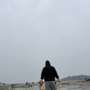 온담고 | [선재어촌체험마을] 대부도갯벌체험_바지락 쓸어 담고 온 후기