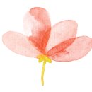 12/11 크리스마스 생화 트리 이미지