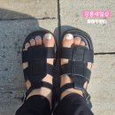 마이두뷰티
